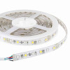 RGBW LED strip 12v 5m 300smd 5050 led's